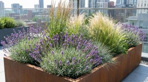 A large rectangular rooftop planter filled with greenery and plants. The sleek modern planter design enhances the rooftop garden, offering a stylish touch with views of the city skyline.