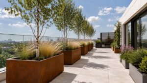 Corten metal planter used as terrace planters on a modern UK rooftop with birch trees and ornamental grasses.